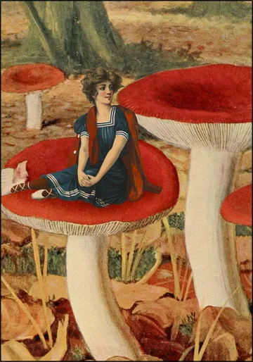 Forest Floor