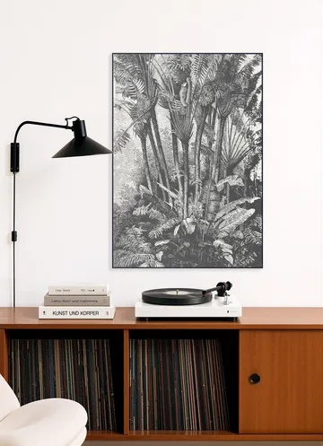 Palms in Water