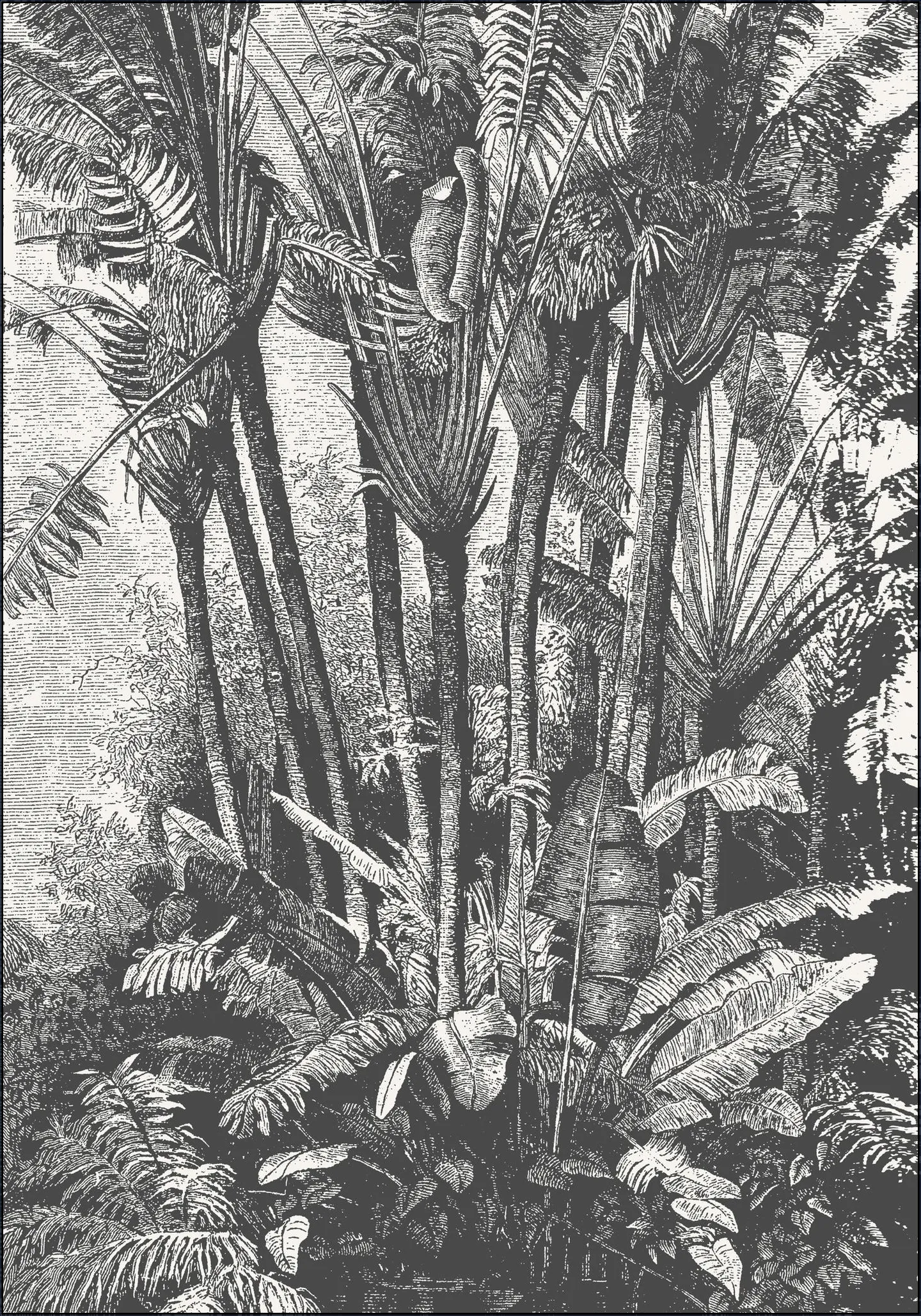 Palms in Water