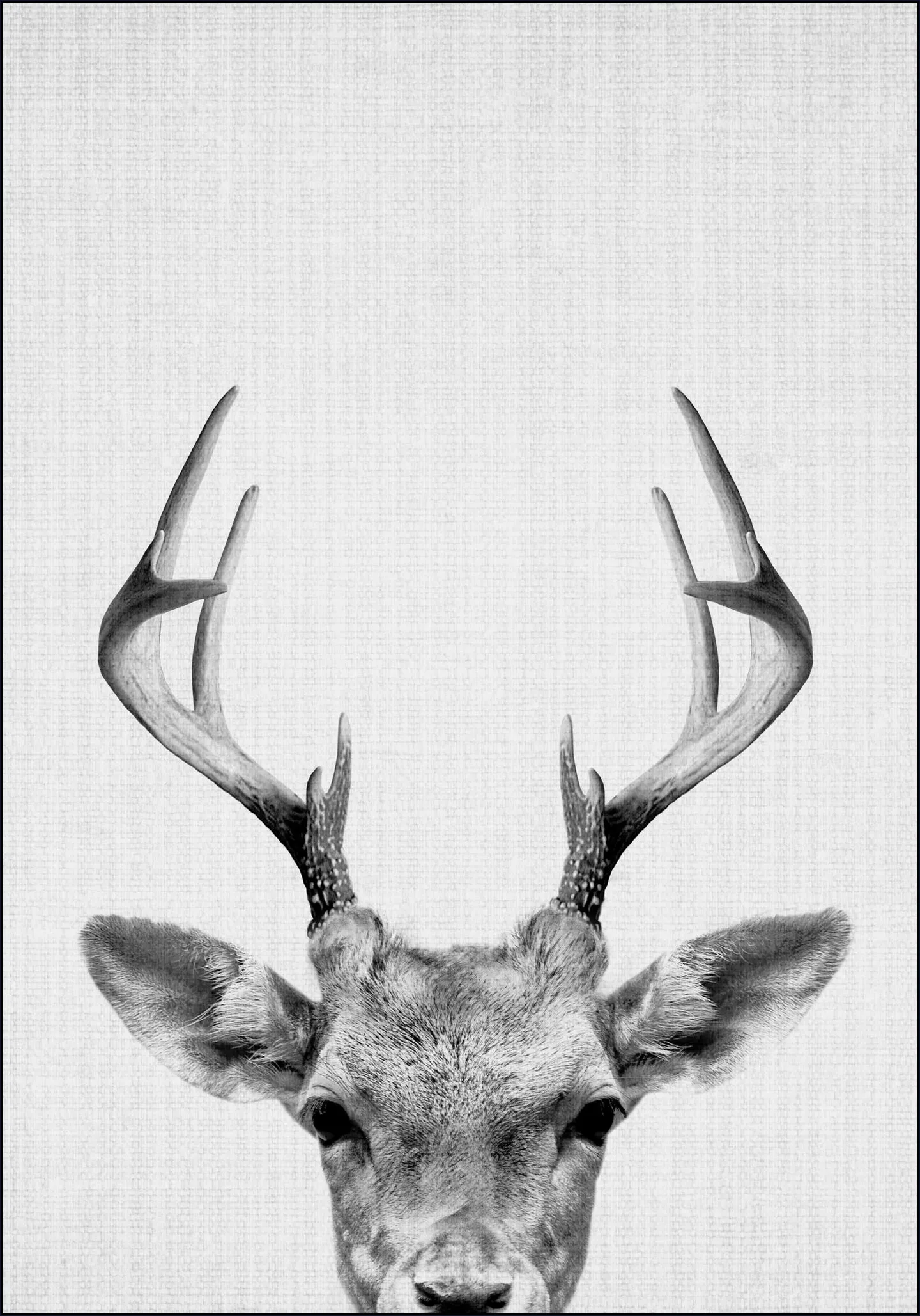 Print 38 Deer