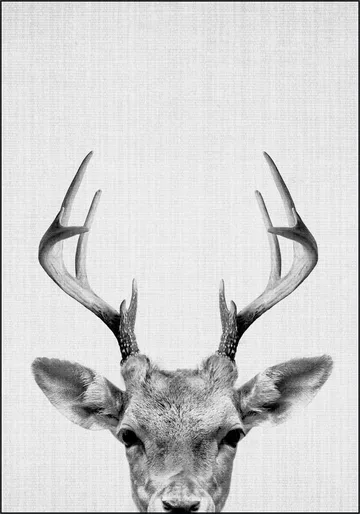 Print 38 Deer