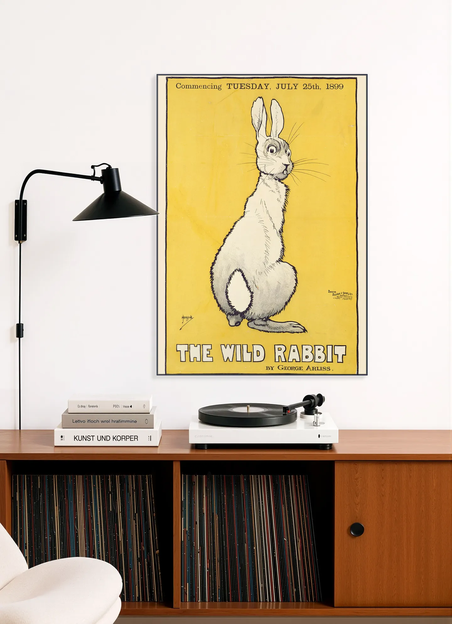 The Wild Rabbit