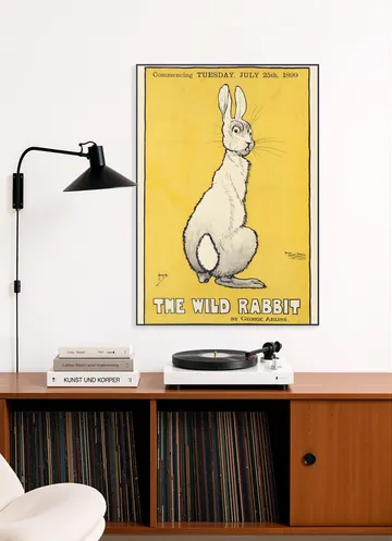 The Wild Rabbit