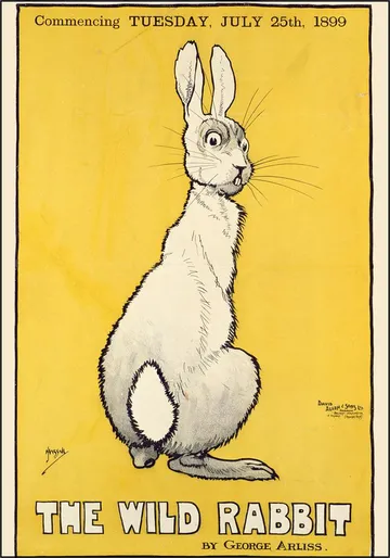 The Wild Rabbit