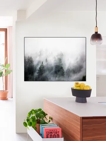 Foggy Woods 6