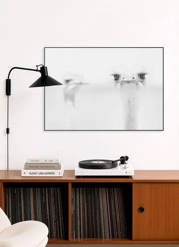 Funny Ostrich