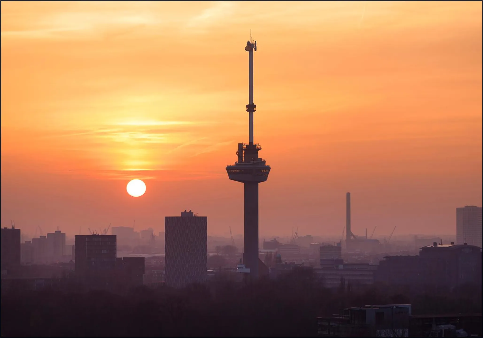 Rotterdam Dreams Skyline