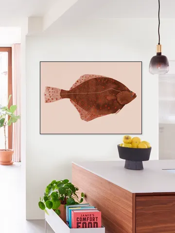 Plaice