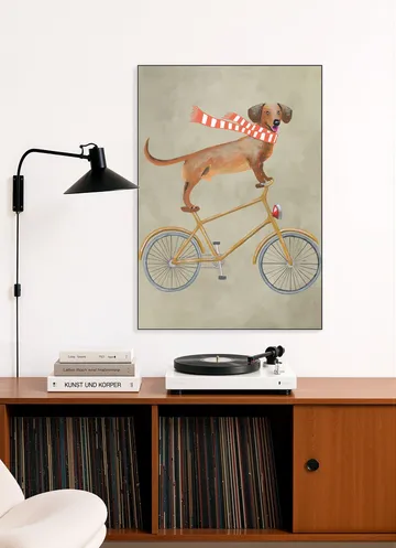 Dachshund on bicycle with scarf