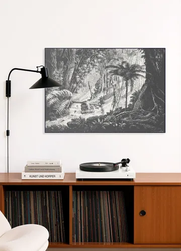 Brazilian Jungle