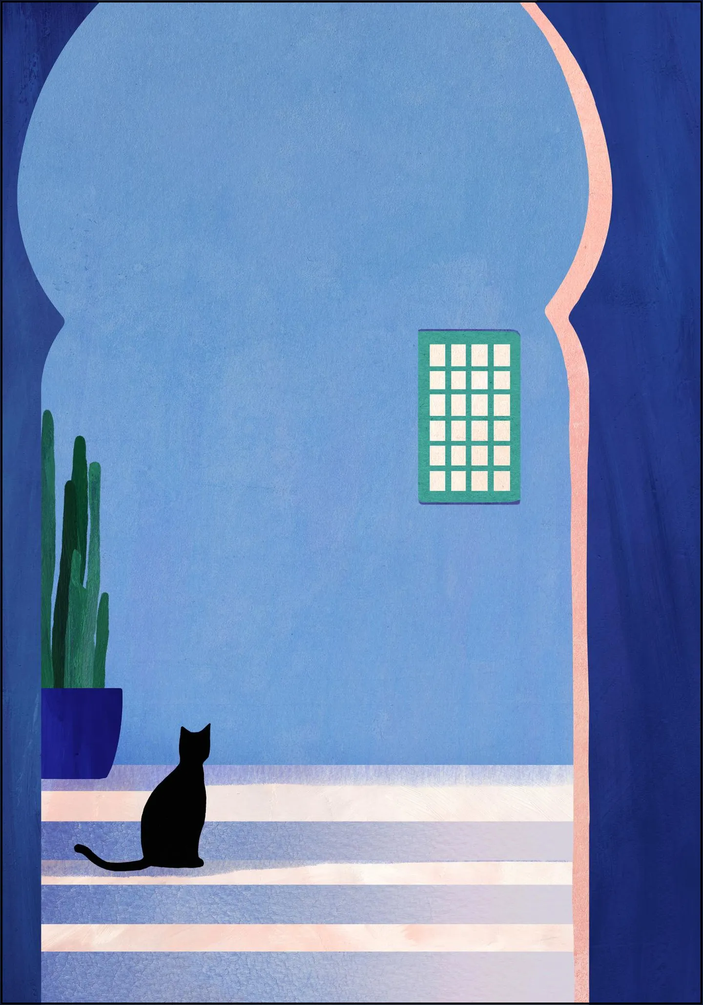 Cat in Morocco