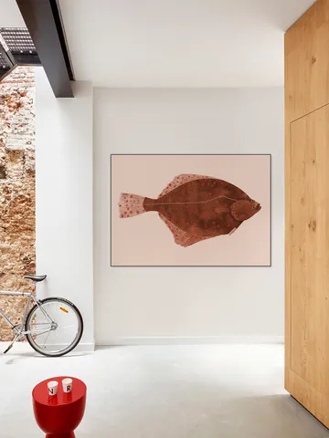 Plaice