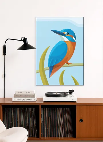 Kingfisher