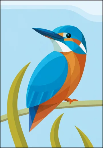 Kingfisher