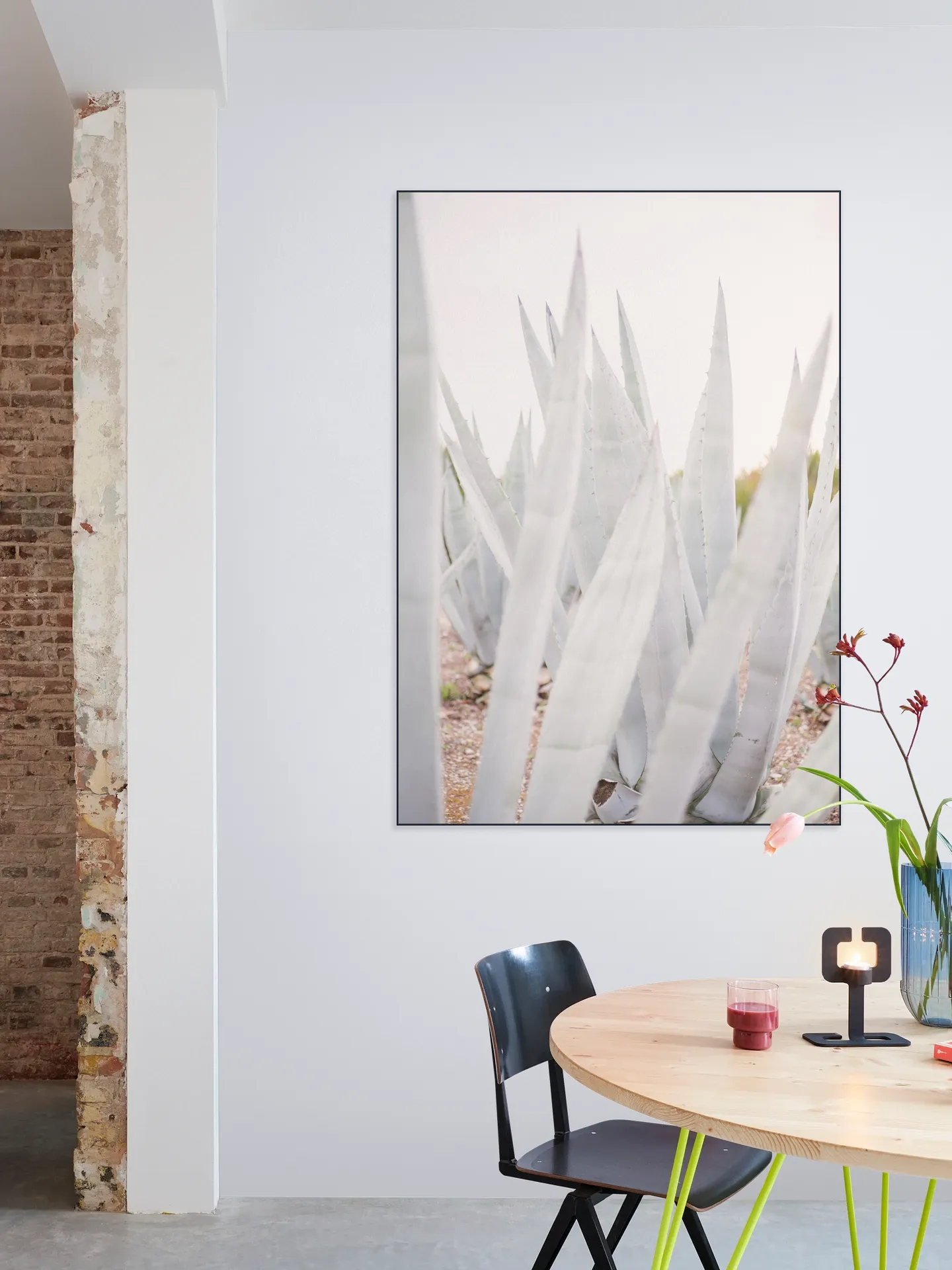 Bright Agave Plants
