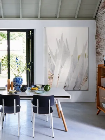 Bright Agave Plants