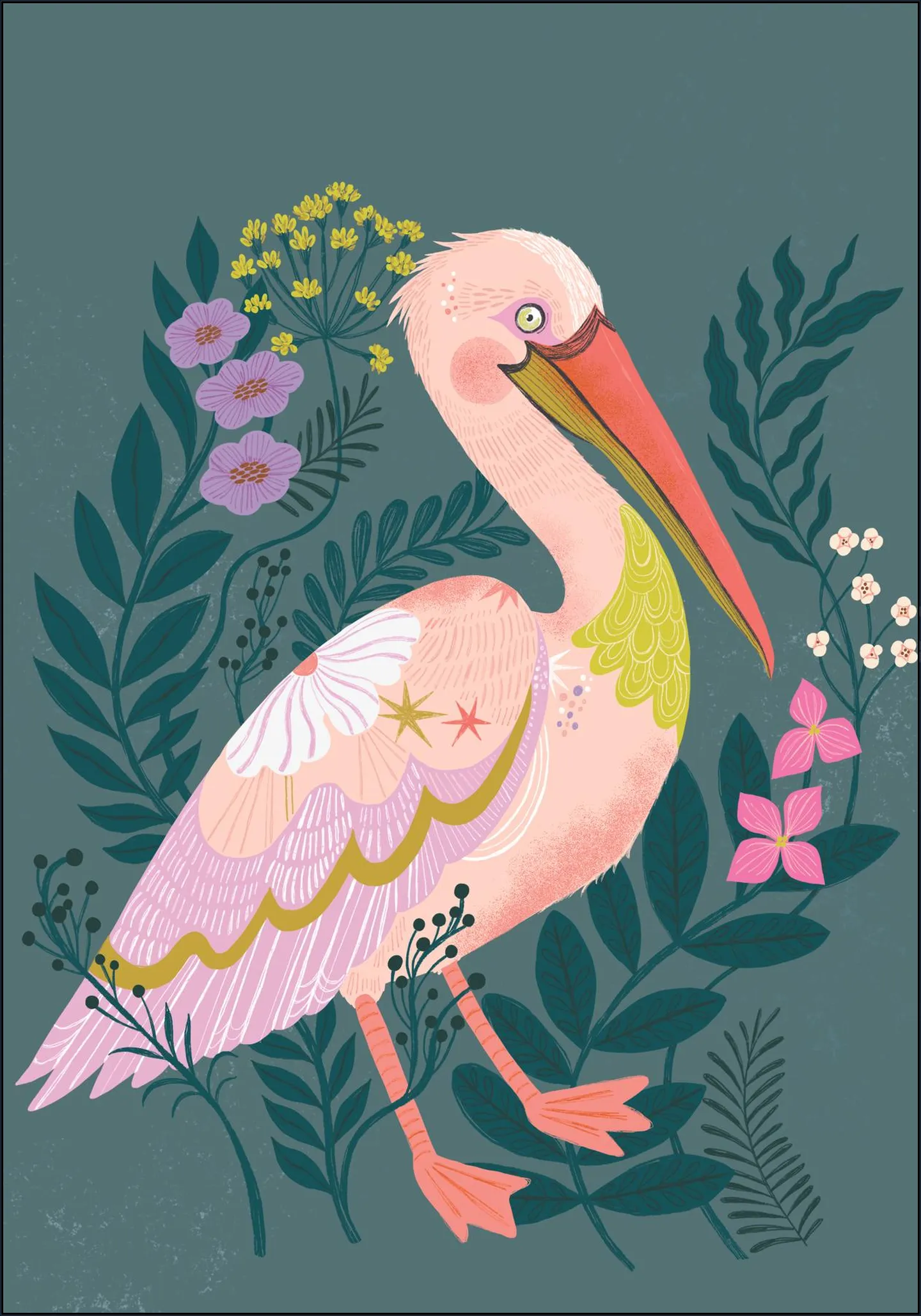 Pelican