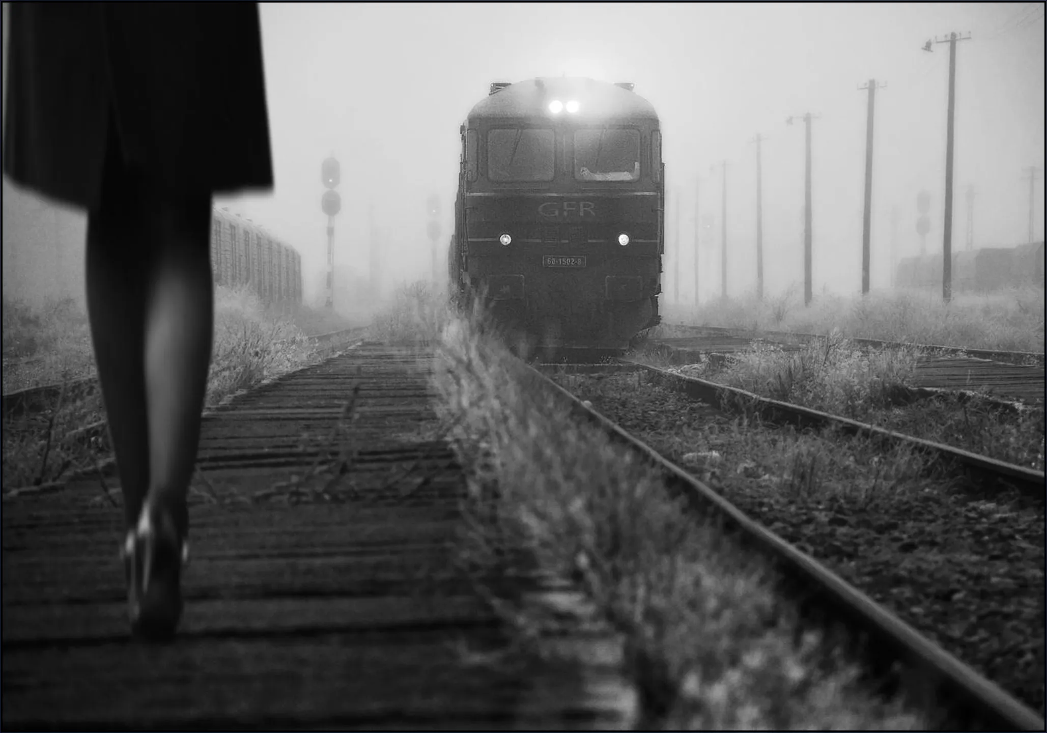 November Passengers