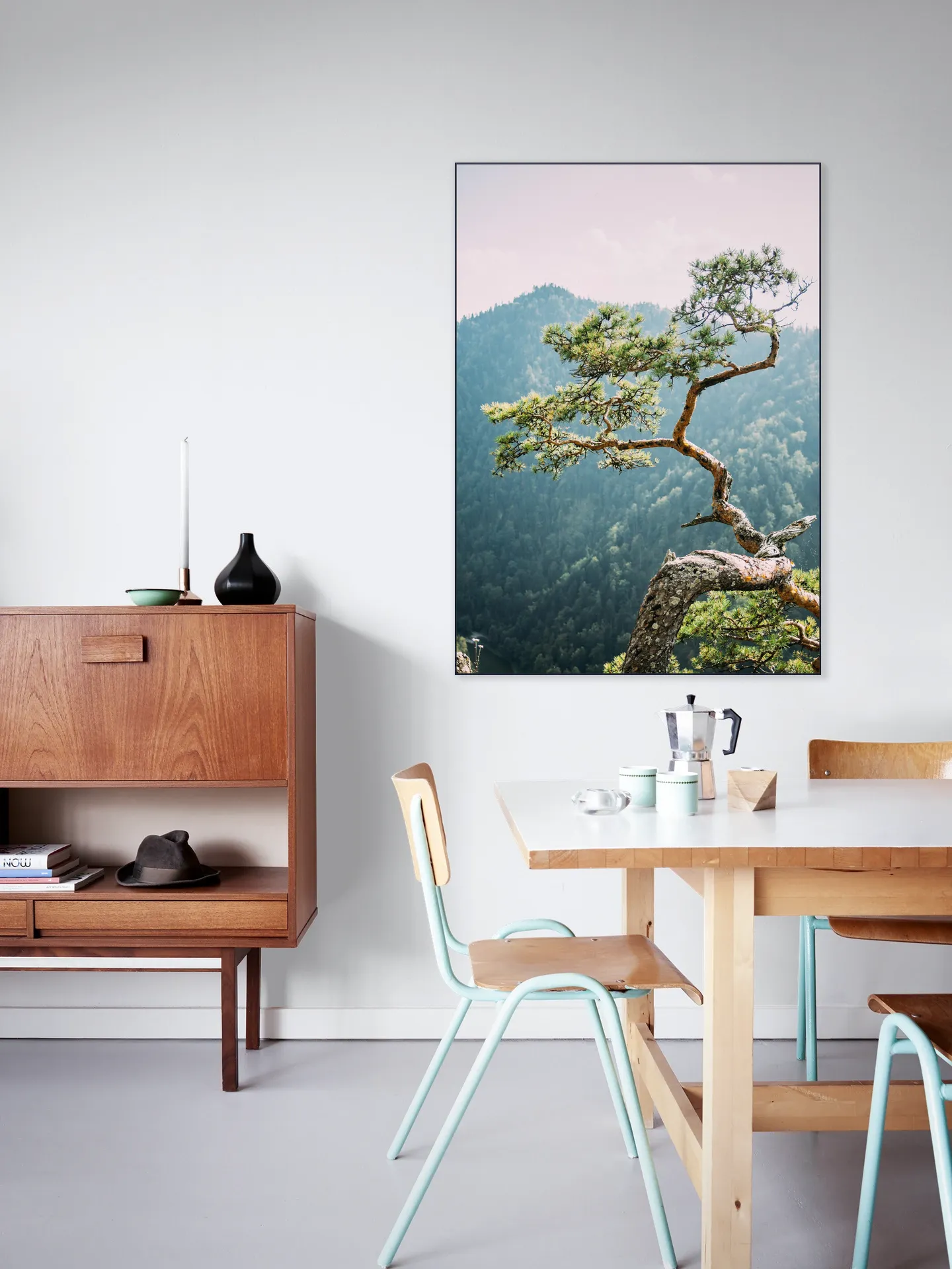 Sokolica Pine Tree