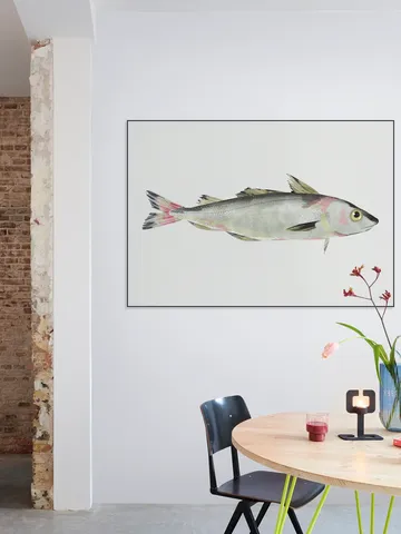 Haddock