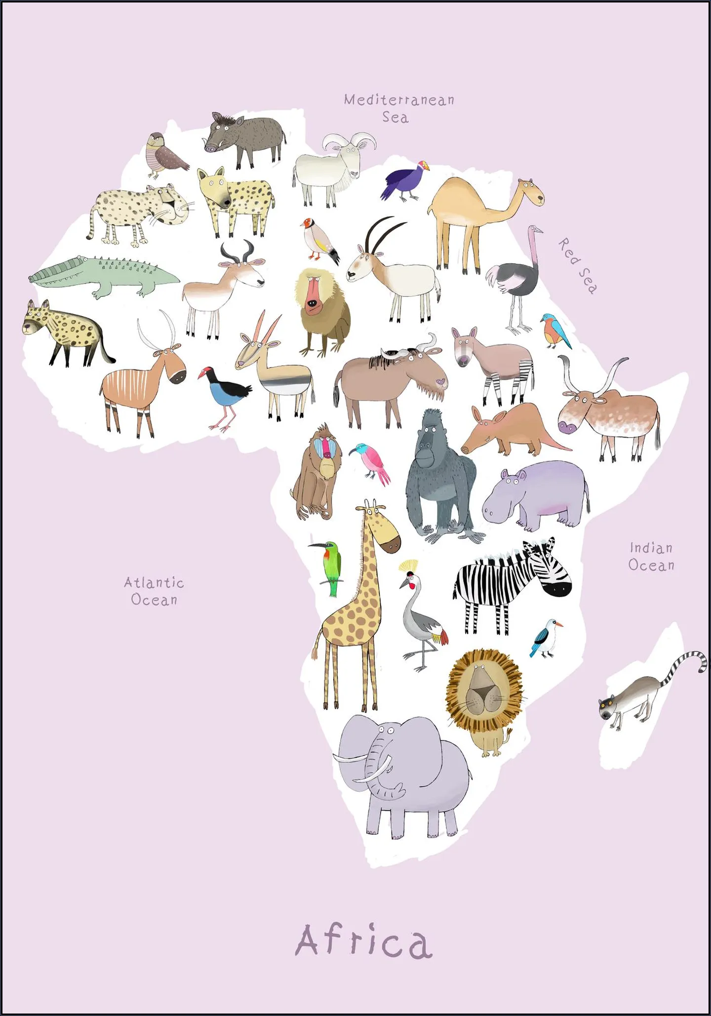 Africa - Pink