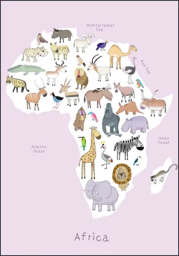 Africa - Pink