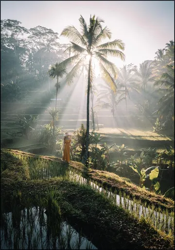 Bali