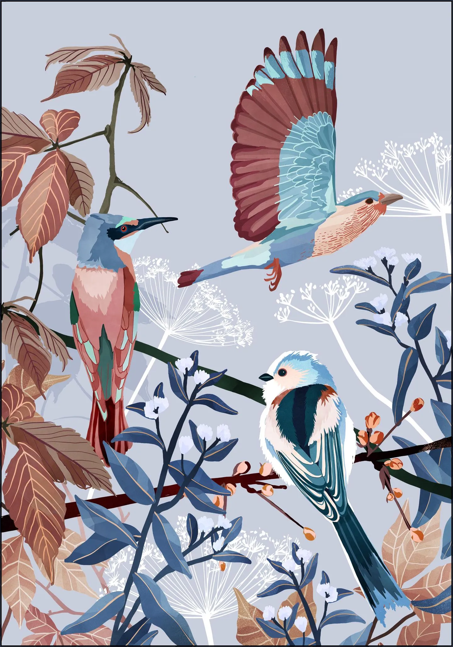 Birds of Winter