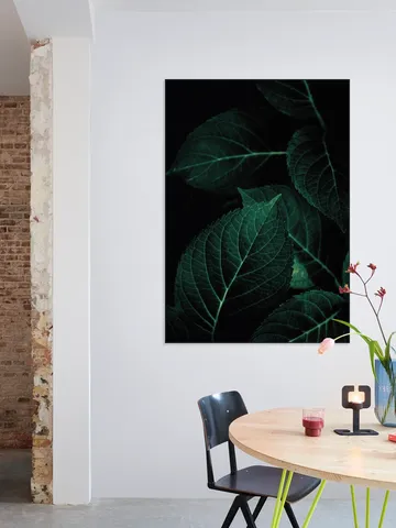 Dark Leaves