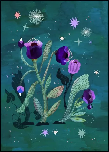 Teal Violet Flower Mystery
