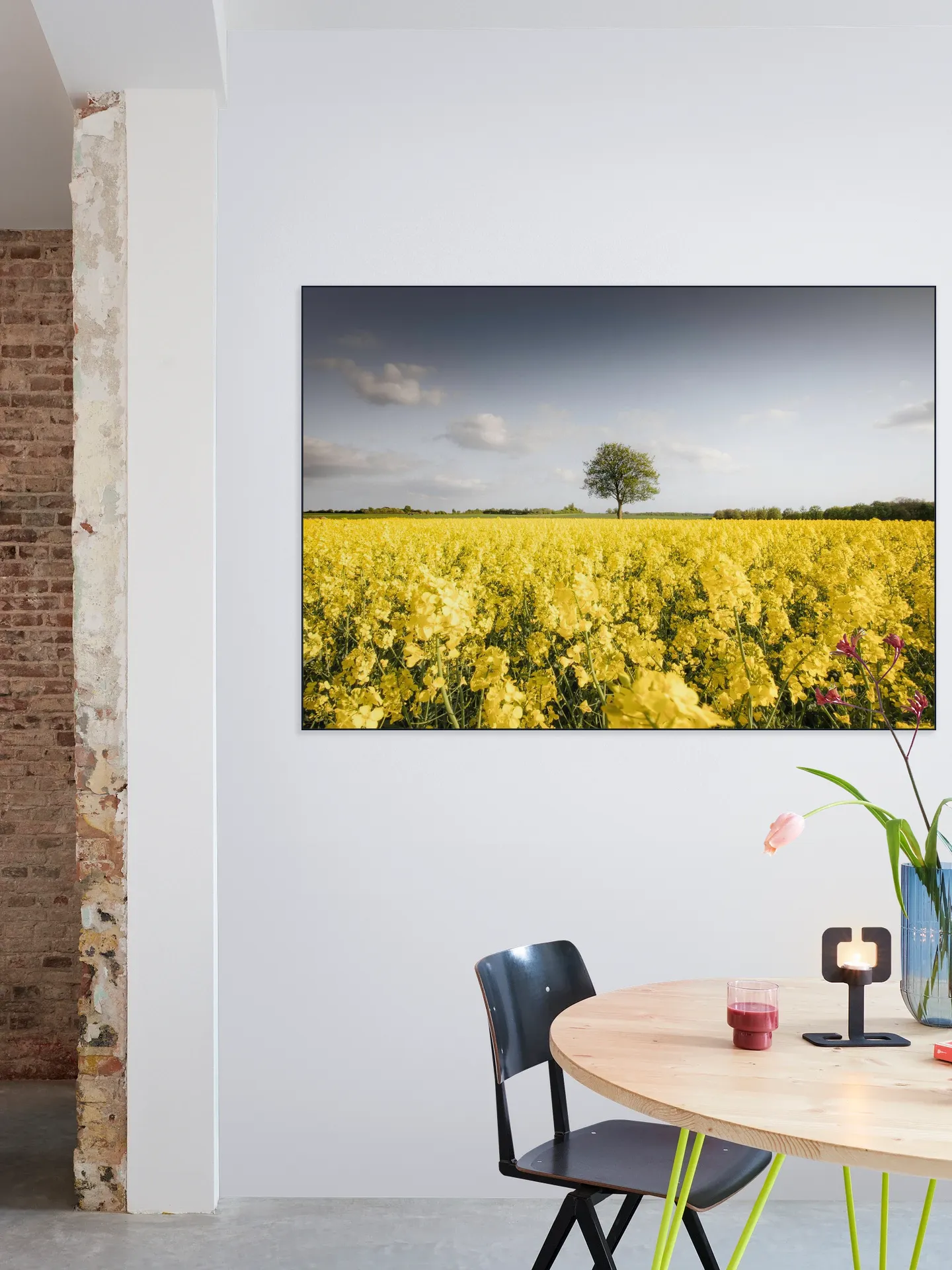 Golden Field Morning