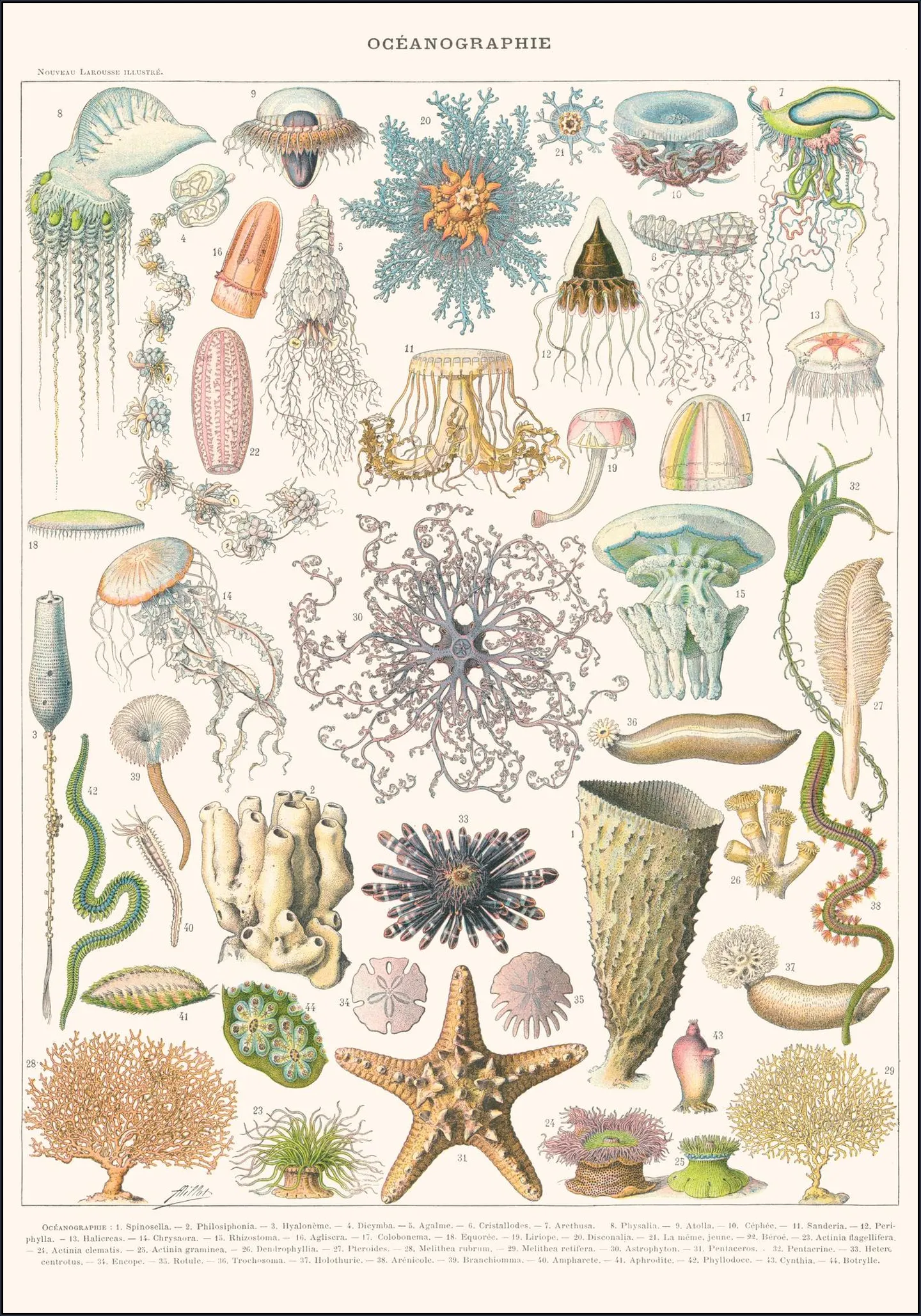 Oceanographie