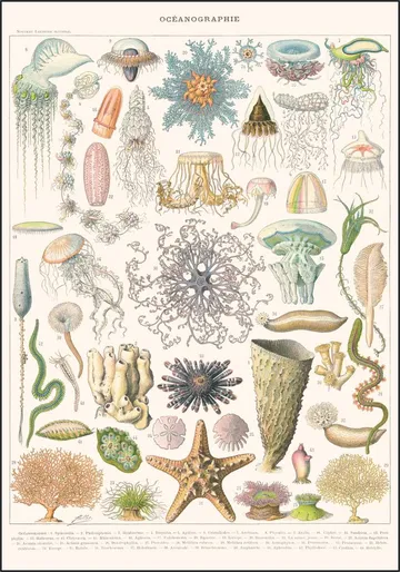 Oceanographie