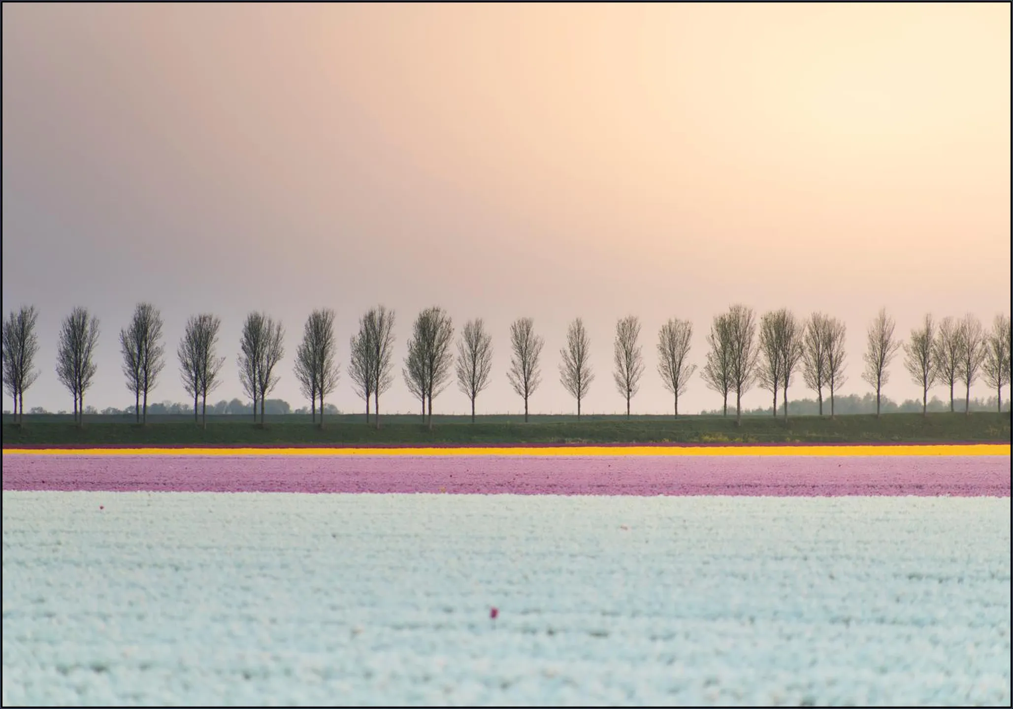 Lines of Silence