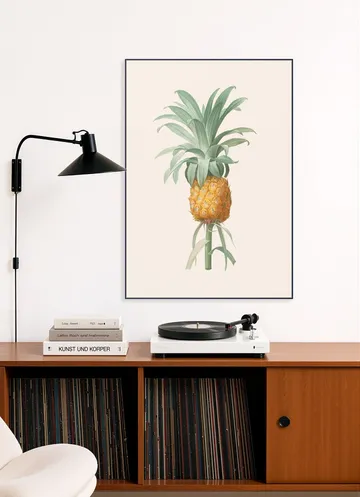 Ananas
