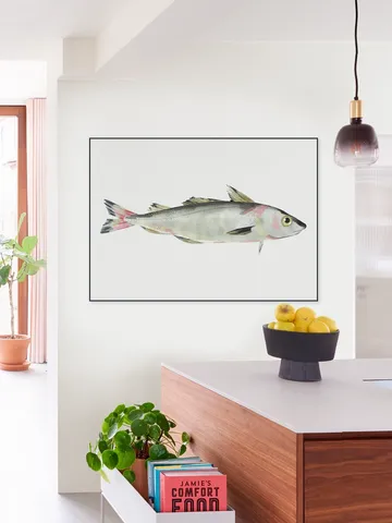 Haddock