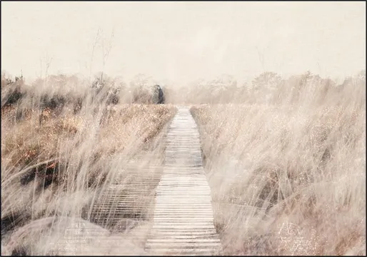 Dutch Landscape