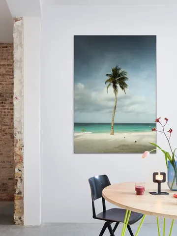 Whispering Palm Above The Caribbean Silence