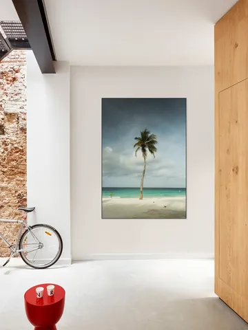 Whispering Palm Above The Caribbean Silence