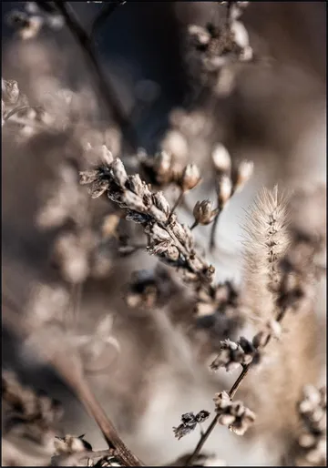 Unknown 3