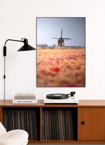 Windmill in Bloom