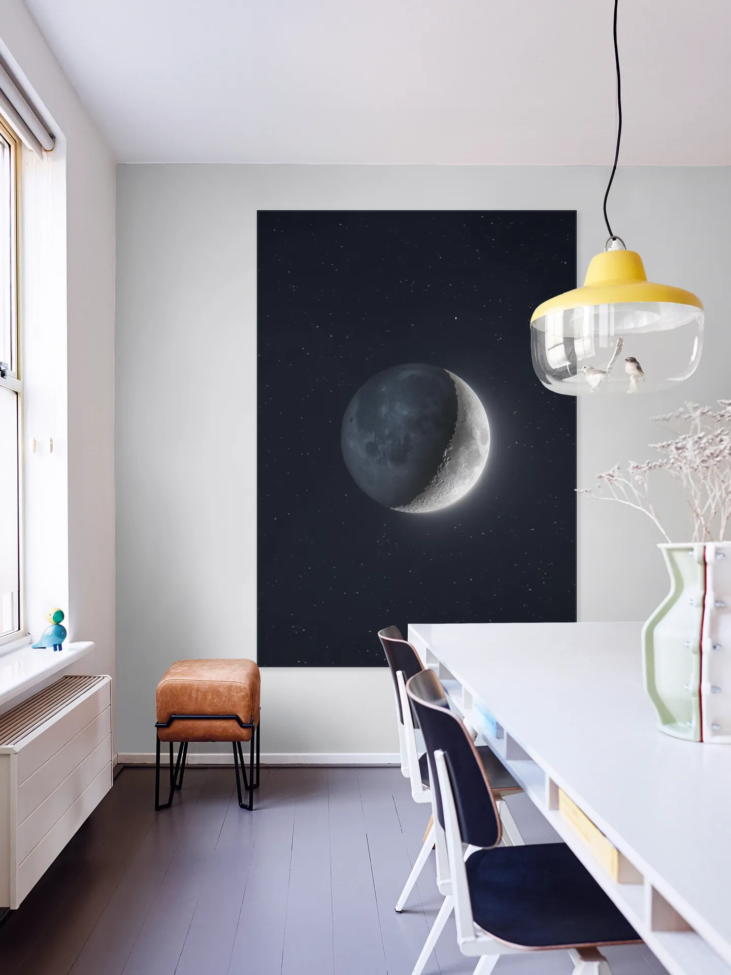Earthshine