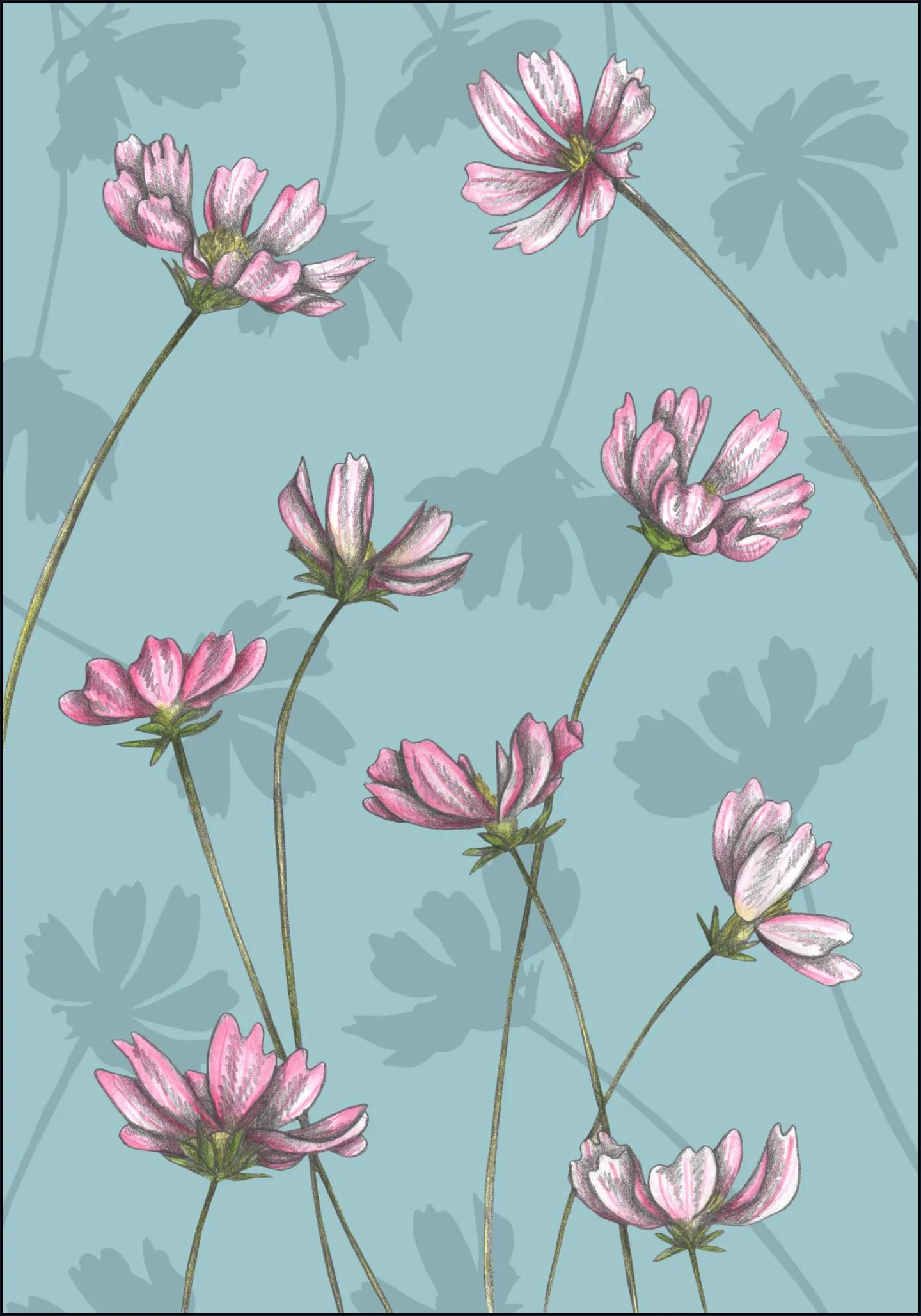 Cosmos