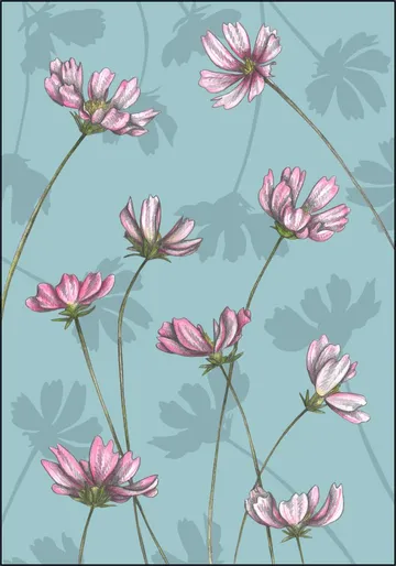 Cosmos