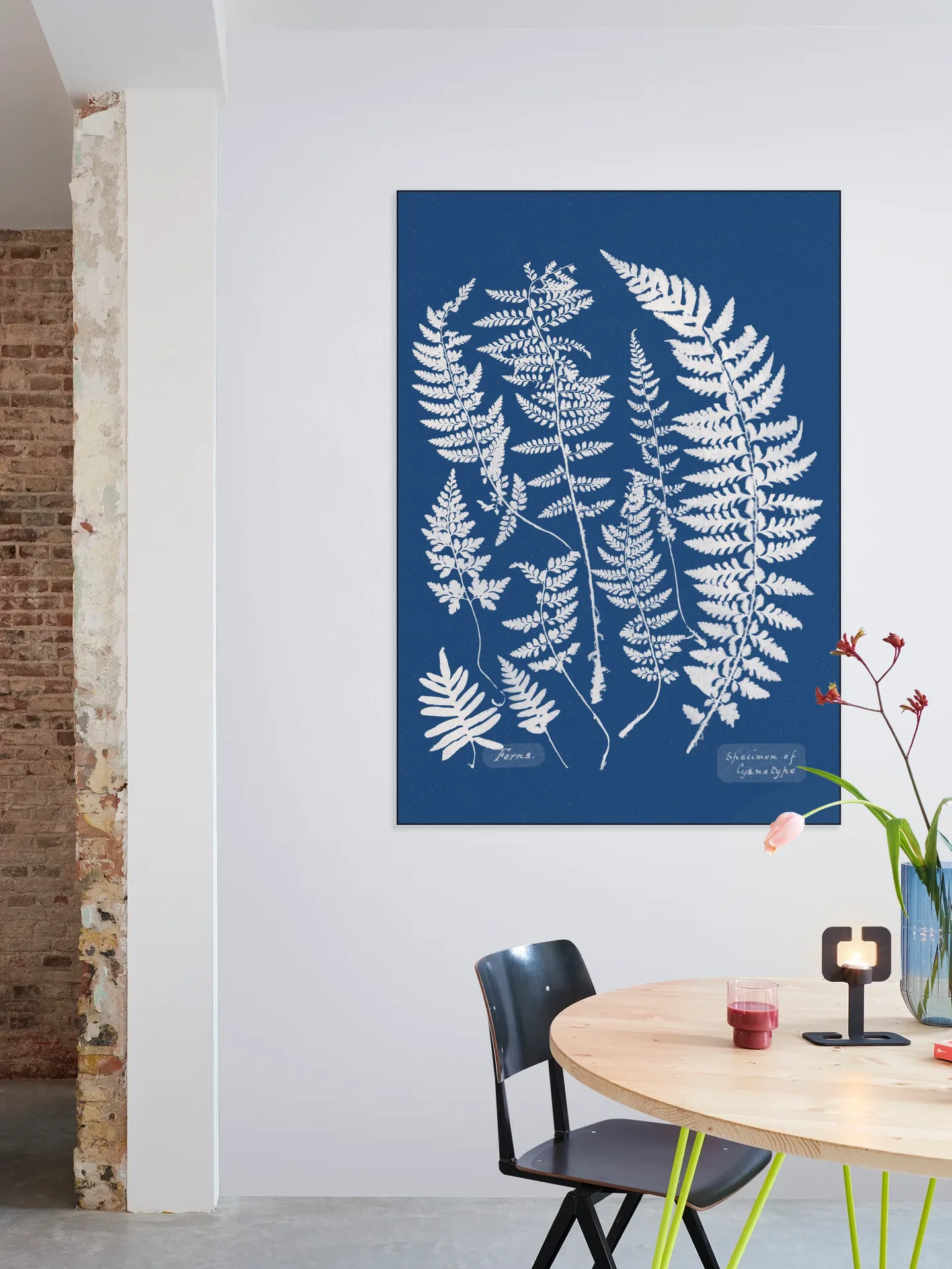 Specimen of Cyanotype - Ferns