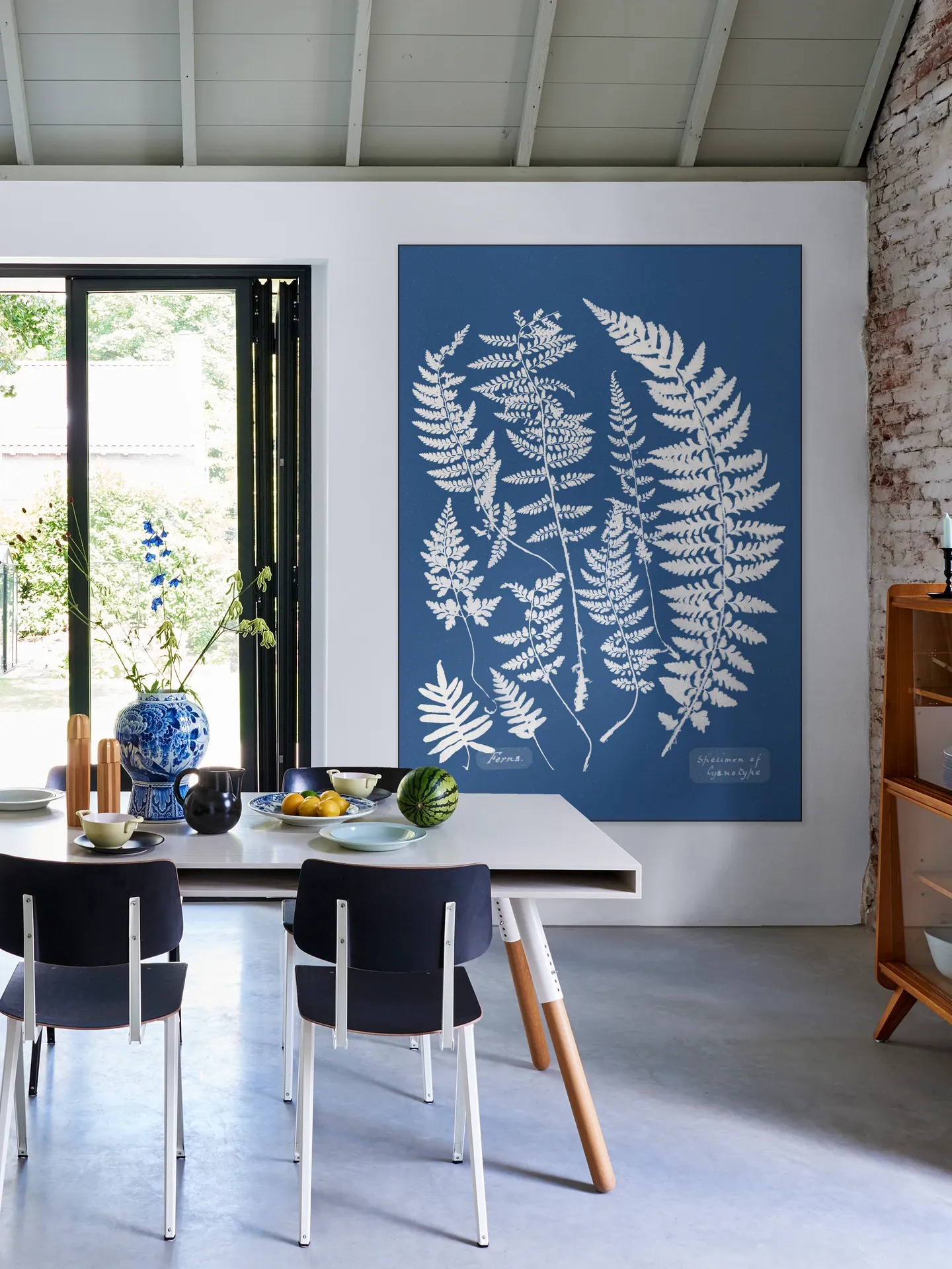 Specimen of Cyanotype - Ferns