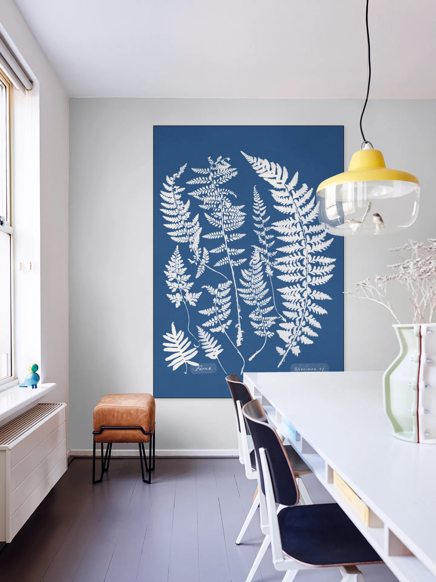 Specimen of Cyanotype - Ferns