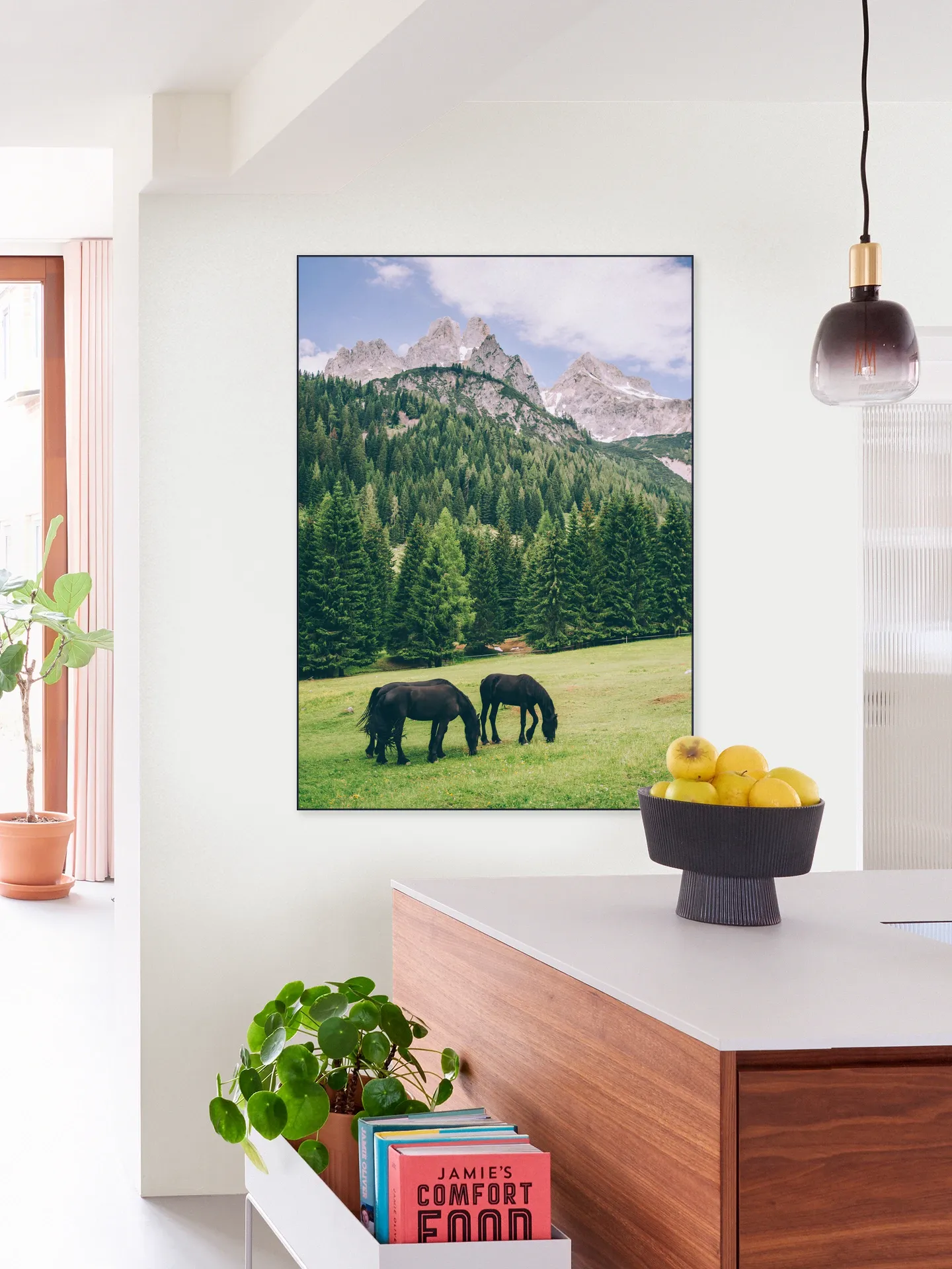 Friesian Horses in Alps