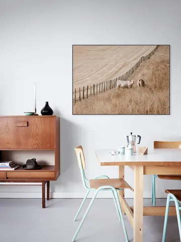 Cows on the Hill
