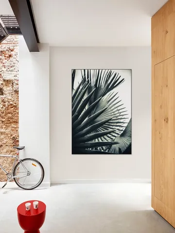 Palm Shade 2